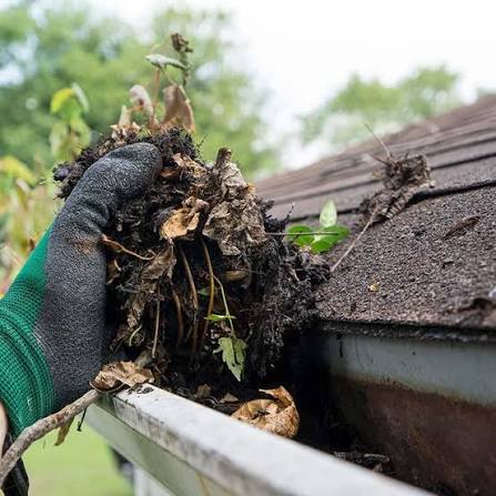 Gutter cleaning service