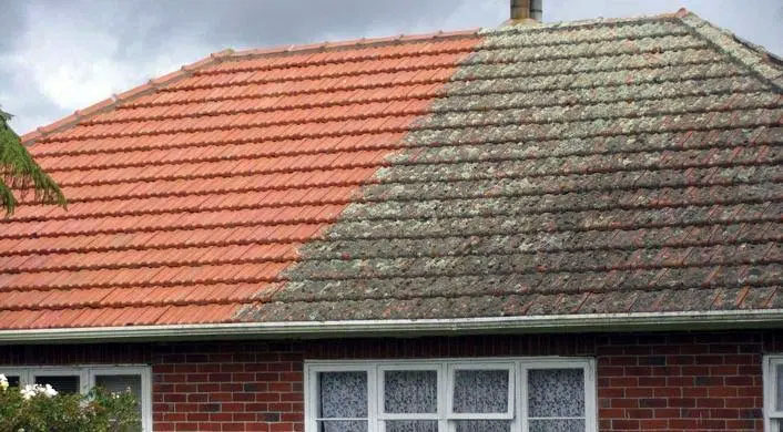 Roof cleaning service